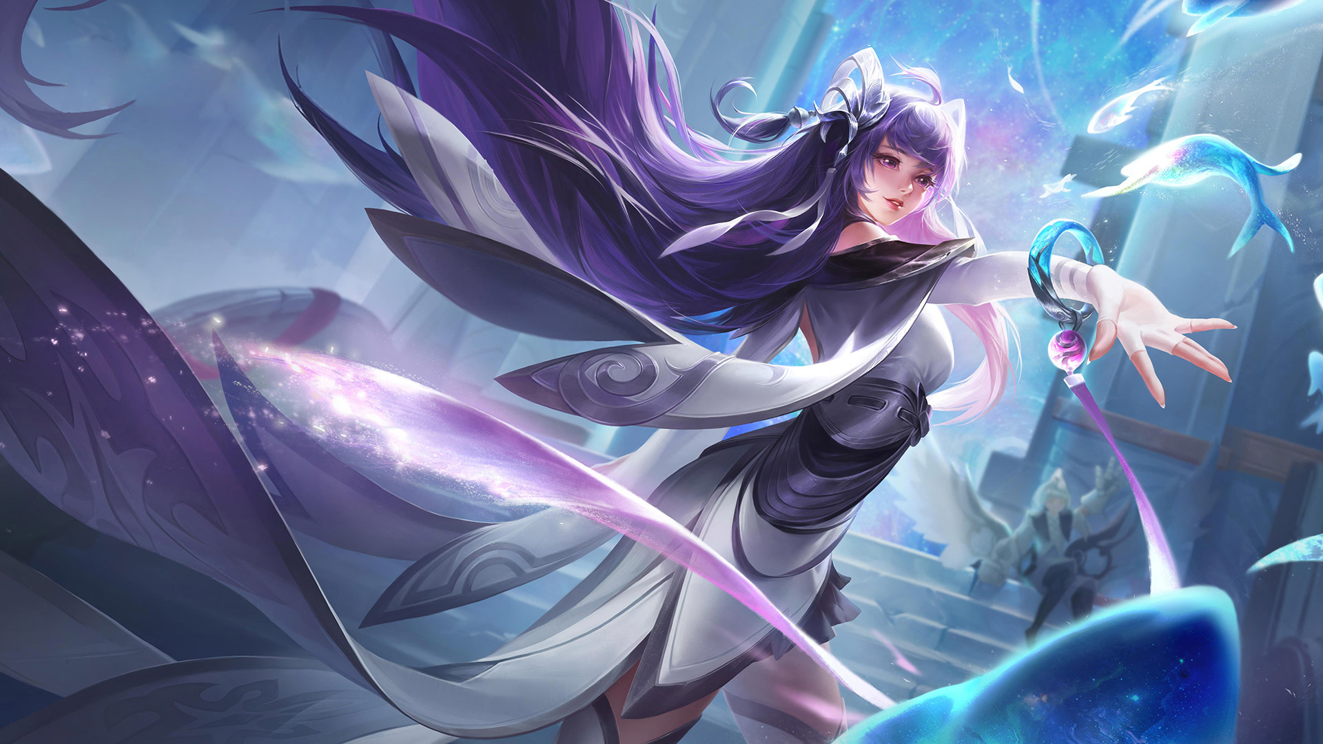 广泛的健身 广泛的健身