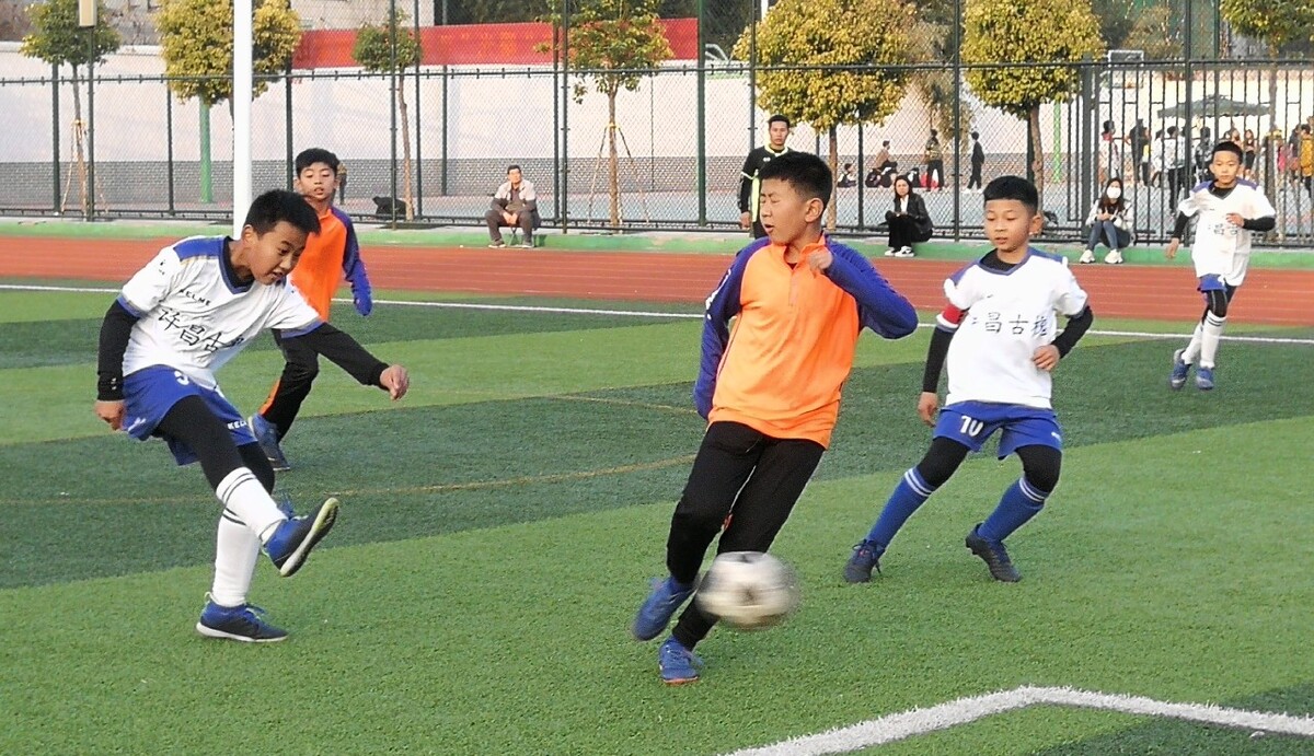 但他的职业 但他的职业