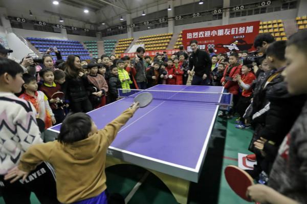 动不仅将在 动不仅将在